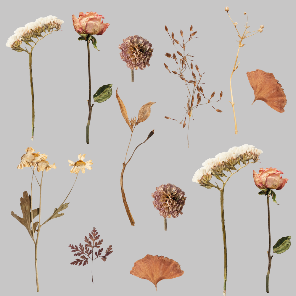 Vinyl teppich blumen mit getrocknetem blättermuster - TenStickers