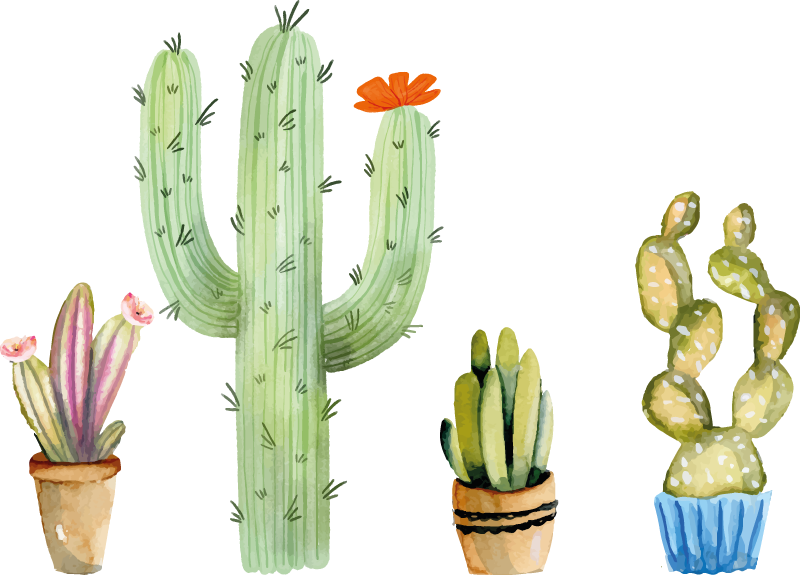 Vinyl teppich esszimmer set mit verschiedenen kakteen - TenStickers