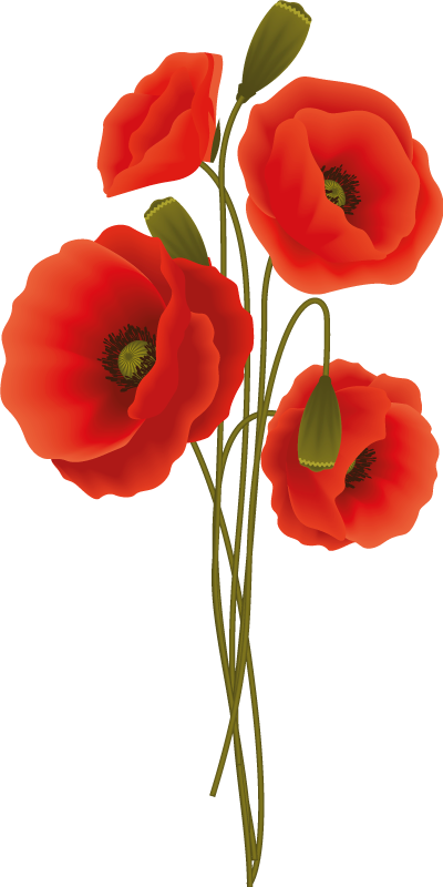 Vinyl teppich badezimmer zarte mohnblumen - TenStickers
