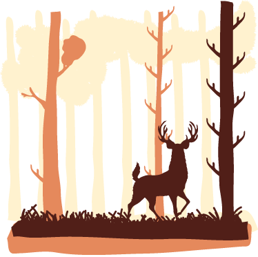 Vinyl teppich natur brauner wald und rehe - TenStickers