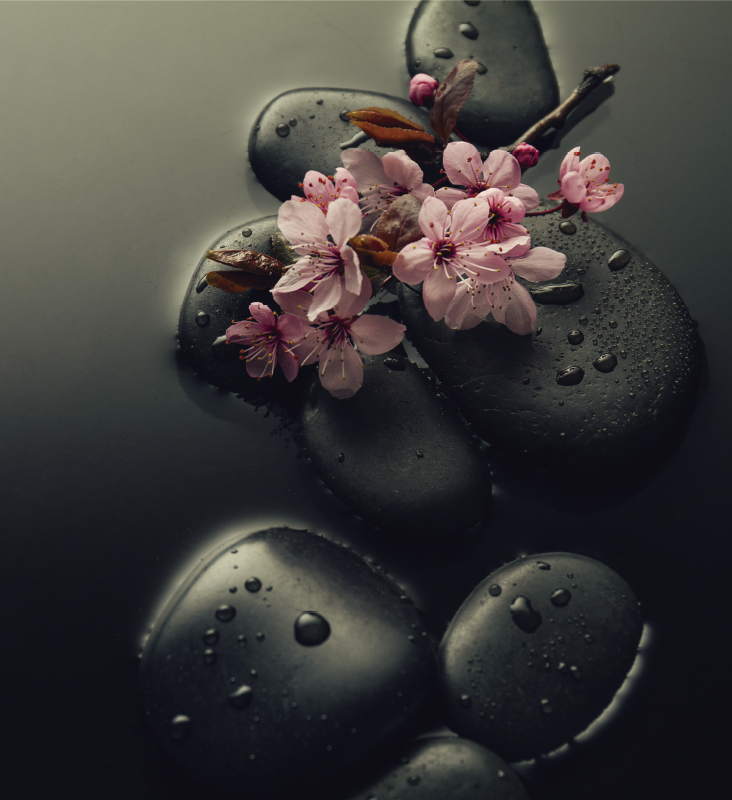 Vinyl teppich natur zen ambiente mit stein für wc - TenStickers