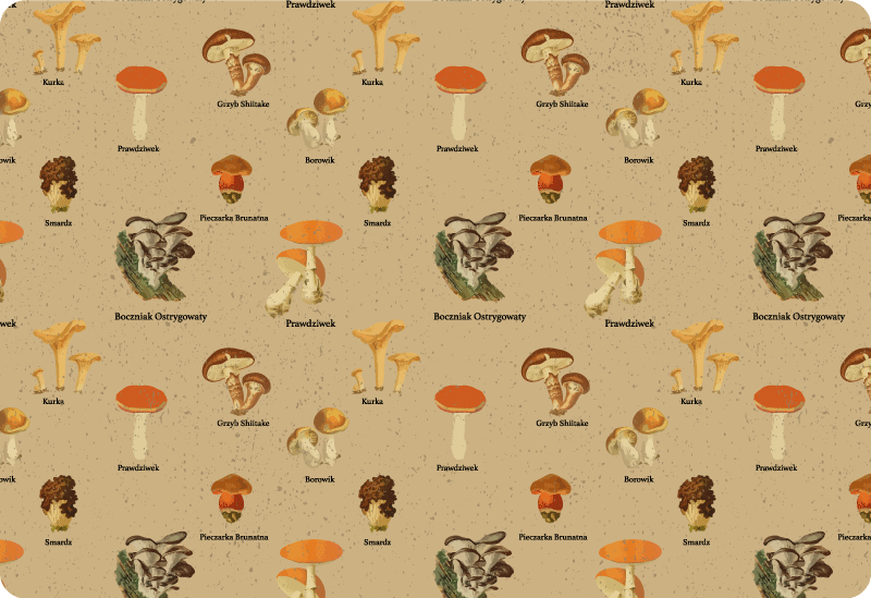 Vinyl teppich natur vintage pilzarten - TenStickers