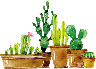 Vinyl teppich blumen eigenes kaktusgarten design - TenStickers