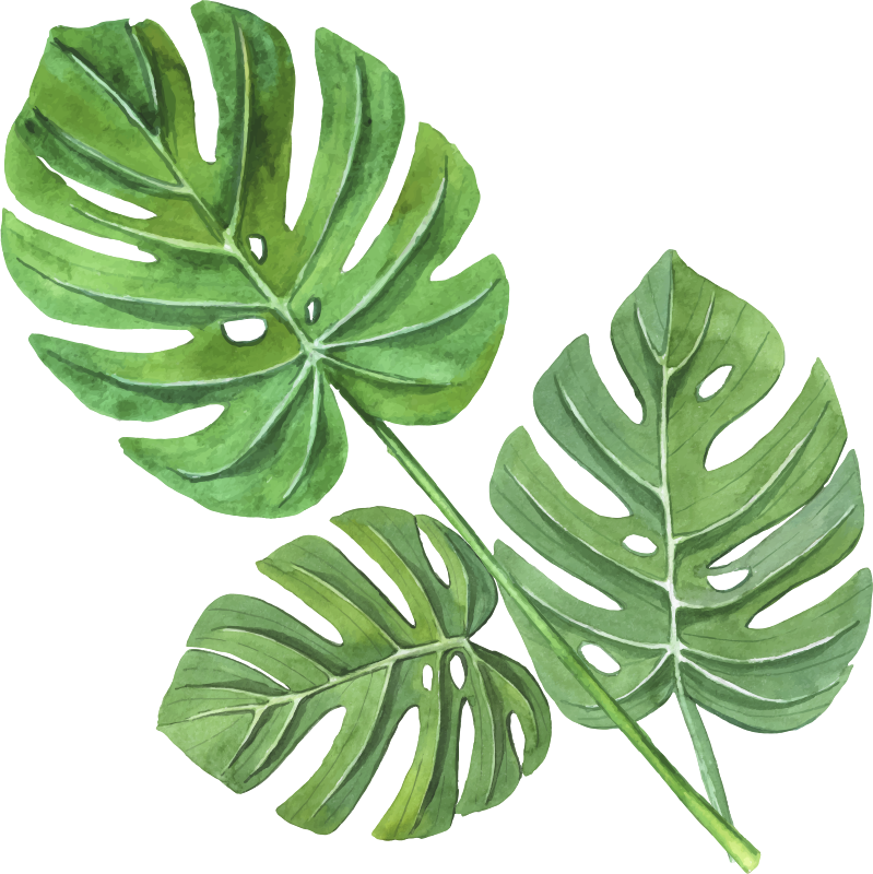 Vinyl teppich blumen monstera aquarellblätter - TenStickers