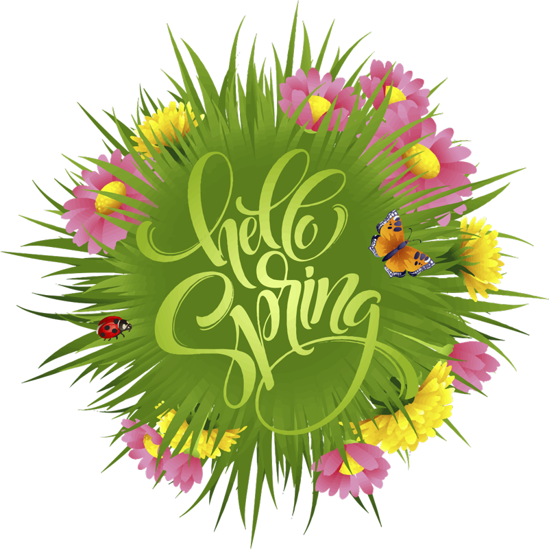 Vinyl teppich blumen frühlingsfeldblumen - TenStickers
