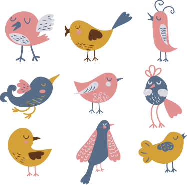 Vinyl teppich kinderzimmer mit neun vogelstickern - TenStickers