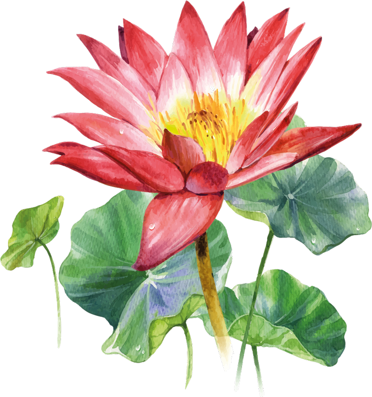Vinyl teppich schlafzimmer lotus aquarell illusion - TenStickers