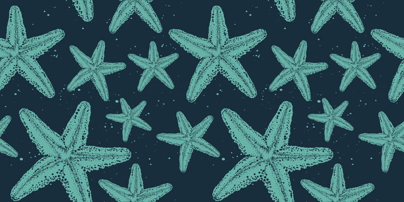 Vinyl teppich badezimmer starfish blautöne möbel - TenStickers