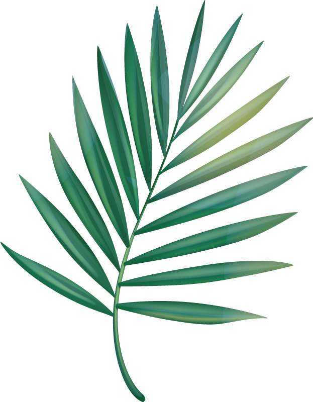 Vinyl teppich badezimmer blatt palme - TenStickers