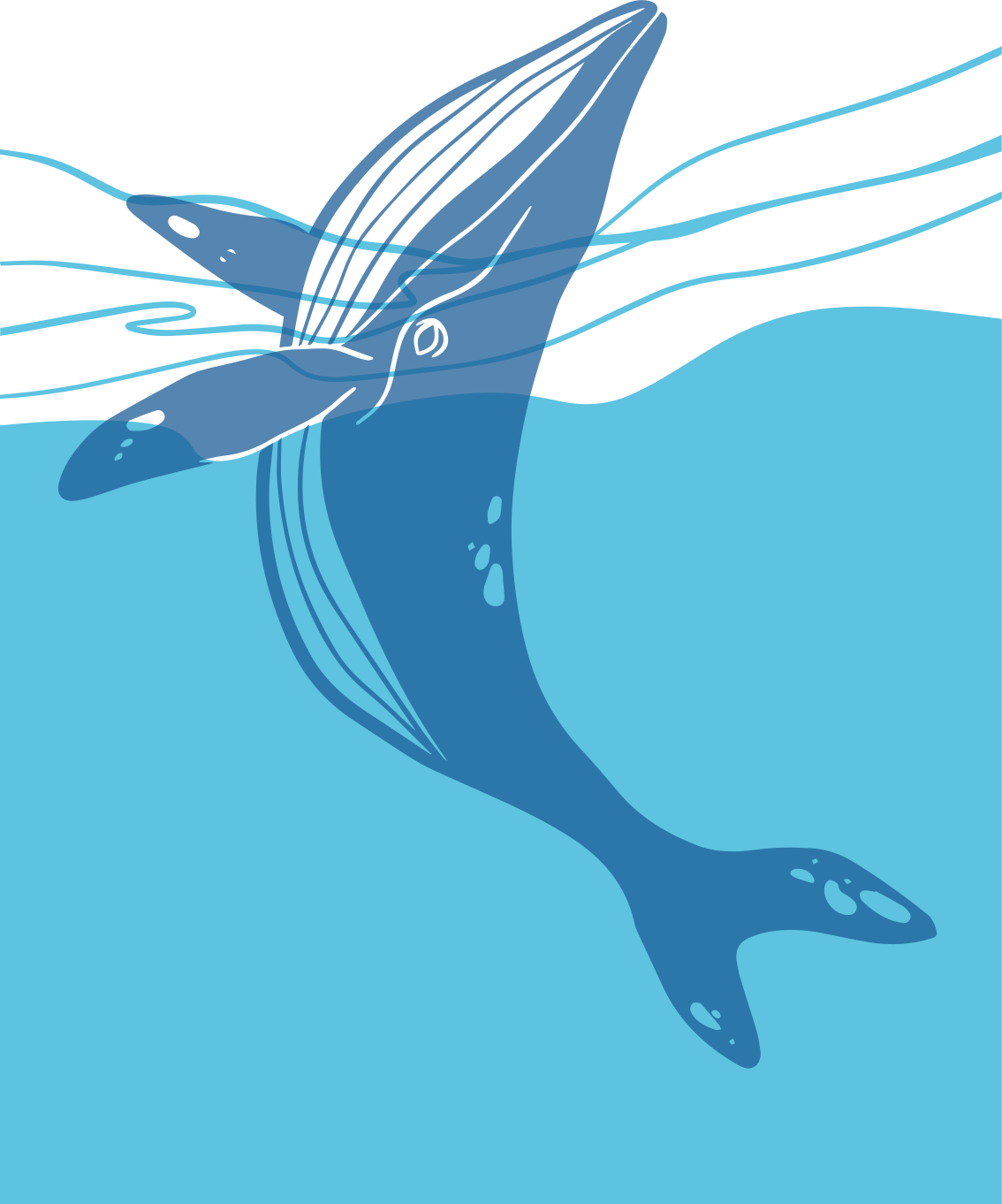 Vinyl teppich badezimmer mit walfisch duschstickern - TenStickers