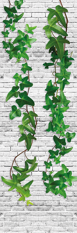 Vinyl teppich natur mauer mit efeu - TenStickers