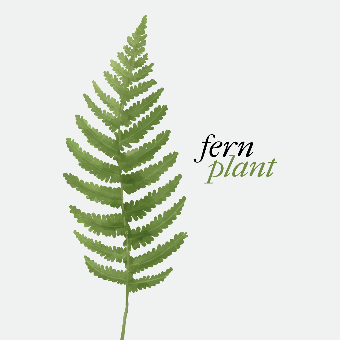 Vinyl teppich text fernpflanze minimalistischer stil - TenStickers