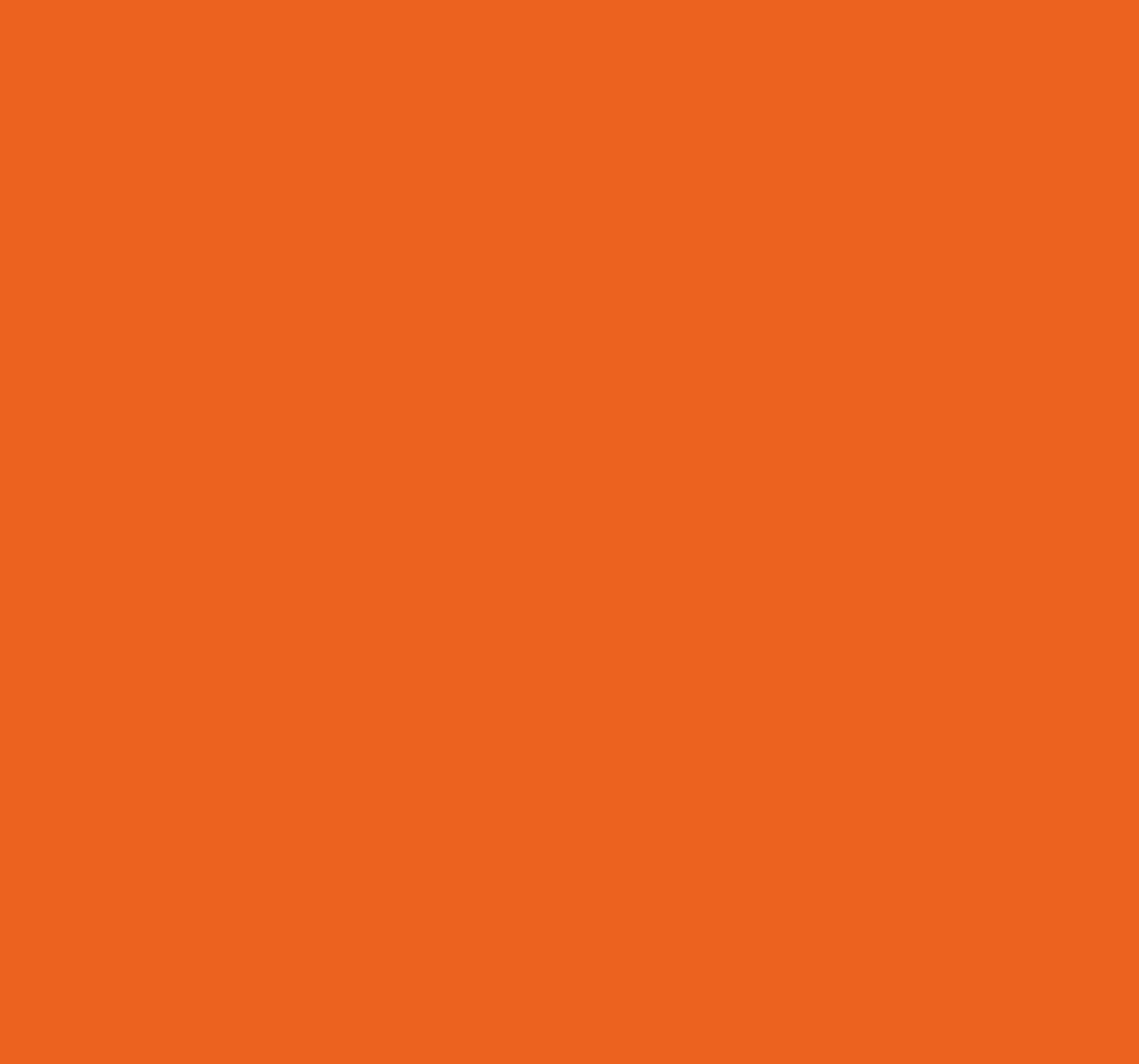 Vinyl teppich orange citrusorange - TenStickers