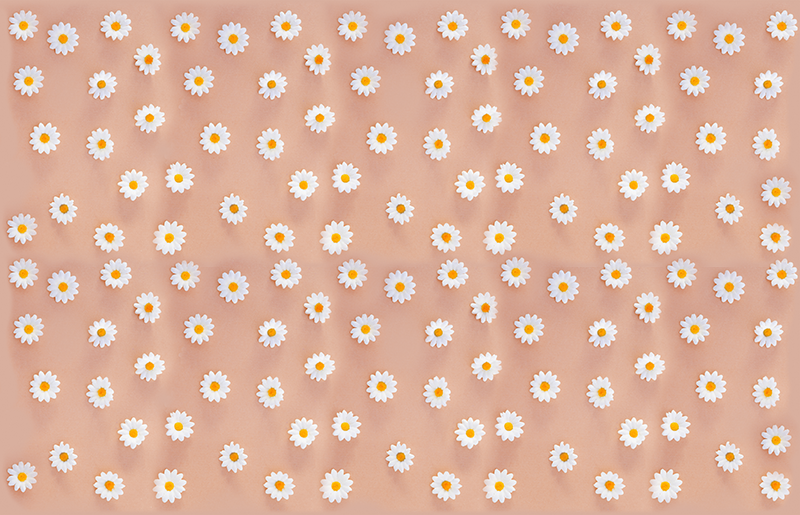 Vinyl teppich blumen mit floralen gänseblümchen muster - TenStickers