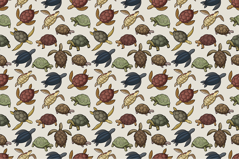 Vinyl teppich tiere schildkröten illustration - TenStickers