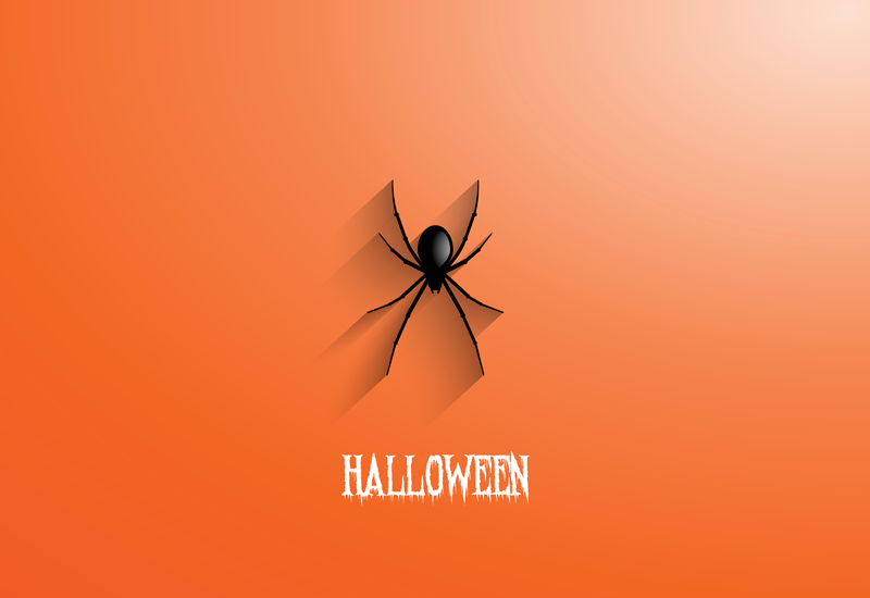 Vinyl teppich halloween mit halloween spinne - TenStickers