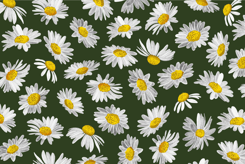 Vinyl Teppich Blumen gänseblümchen-freude - TenStickers