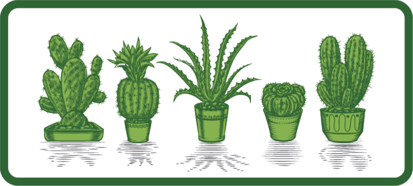 Vinyl Teppich Blumen kaktus-sammlung - TenStickers