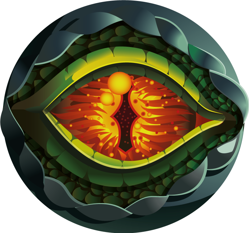 Vinyl Teppich Natur abstrakte Naturansicht Auge - TenStickers