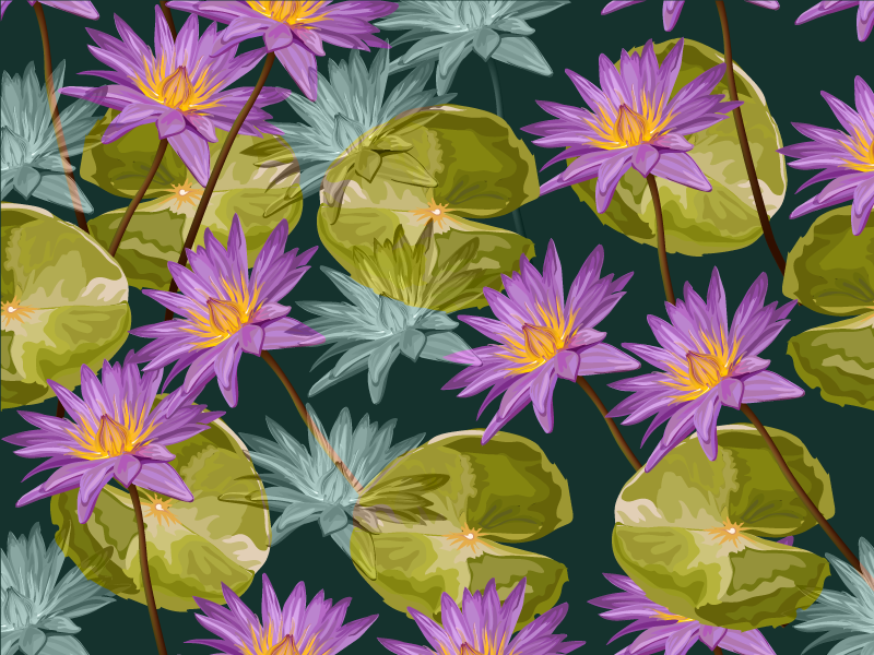 Vinyl Teppich Blumen botanische seerosen - TenStickers