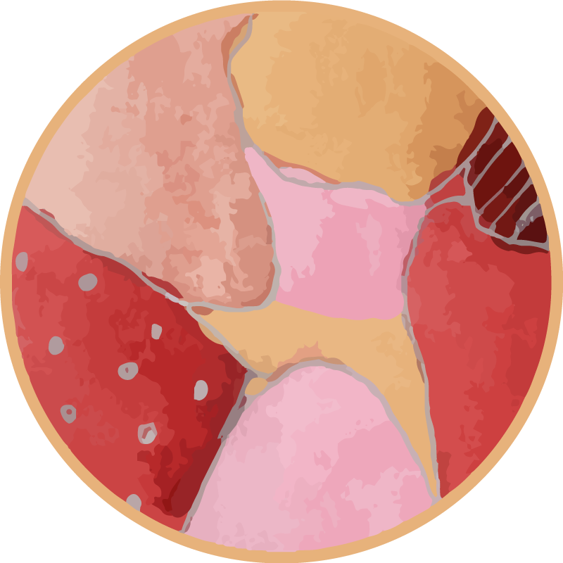 Vinyl Teppich Eingang lebendige blumenmotive - TenStickers