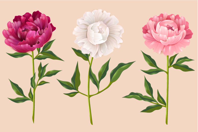 Vinyl Teppich Badezimmer elegantes trio-arrangement - TenStickers