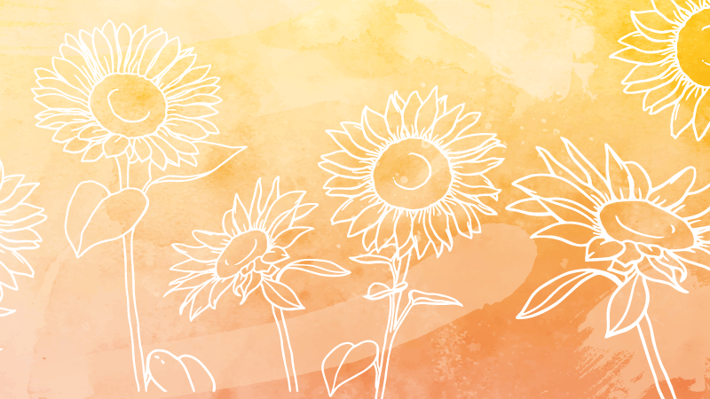 Vinylteppich Blumen Illustrierte sonnenblume - TenStickers