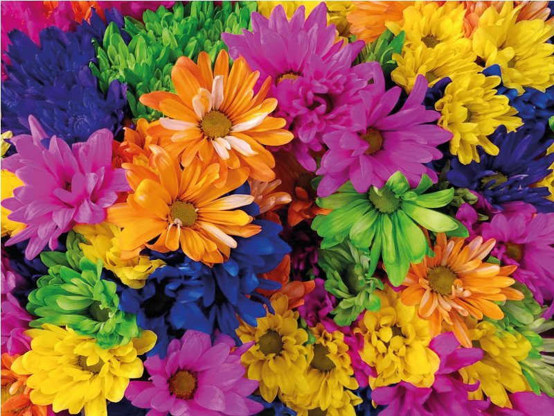 Vinyl teppich blumen buntes blumendesign - TenStickers