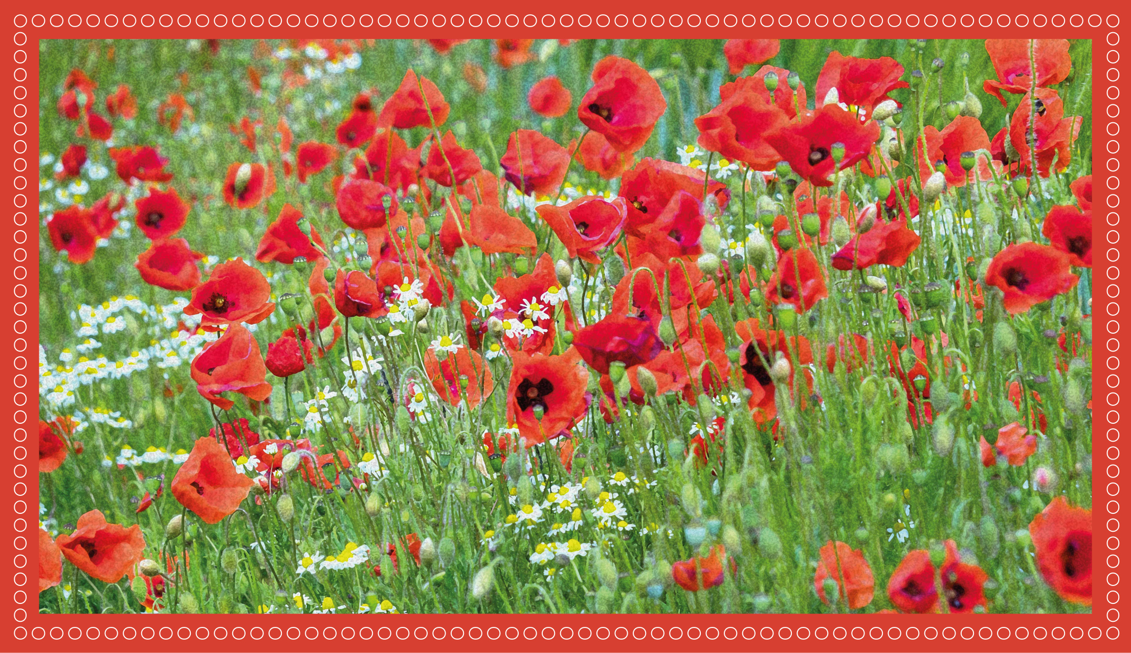 Vinyl Teppich Blumen realistisches mohnfeld - TenStickers