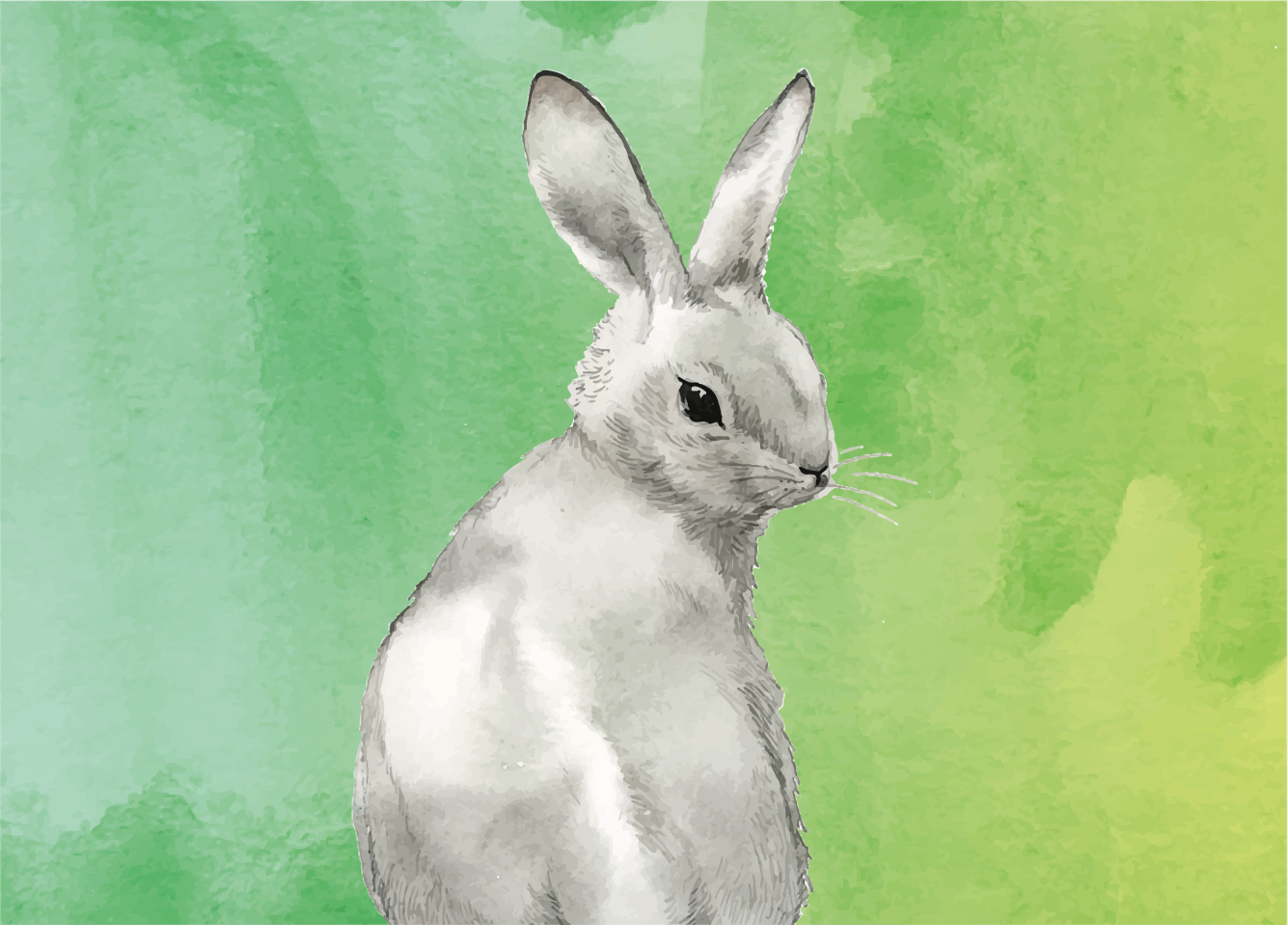 Vinyl Teppich Tiere kaninchen grüner hintergrund - TenStickers
