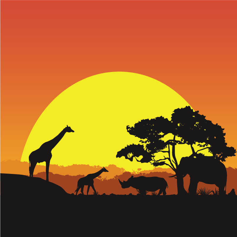 Vinyl Teppich Tiere safari-szene bei sonnenuntergang - TenStickers