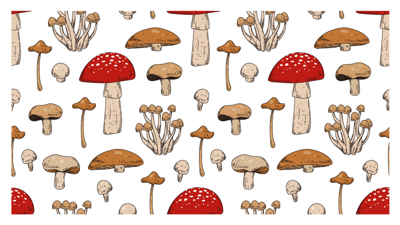 Vinyl Teppich Natur pilz-traumlandschaft - TenStickers