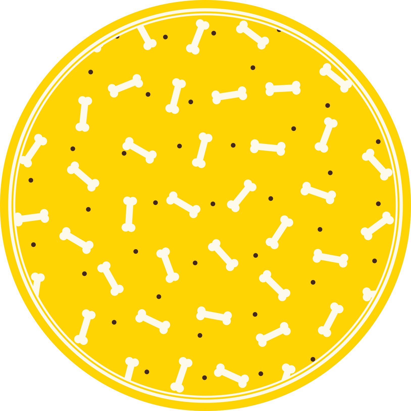 Vinyl Teppich Tiere gelbes knochenmuster - TenStickers