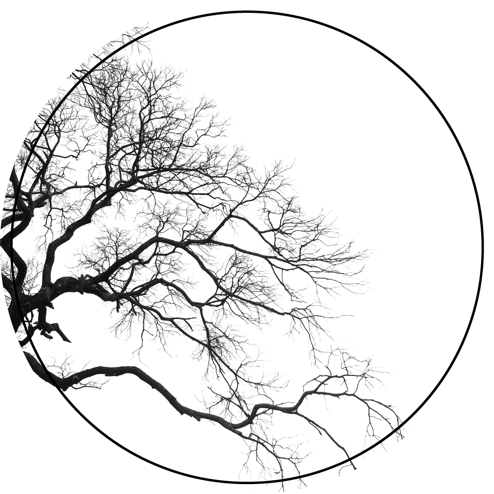 Vinyl Teppich Natur zweig-silhouette-kunst - TenStickers