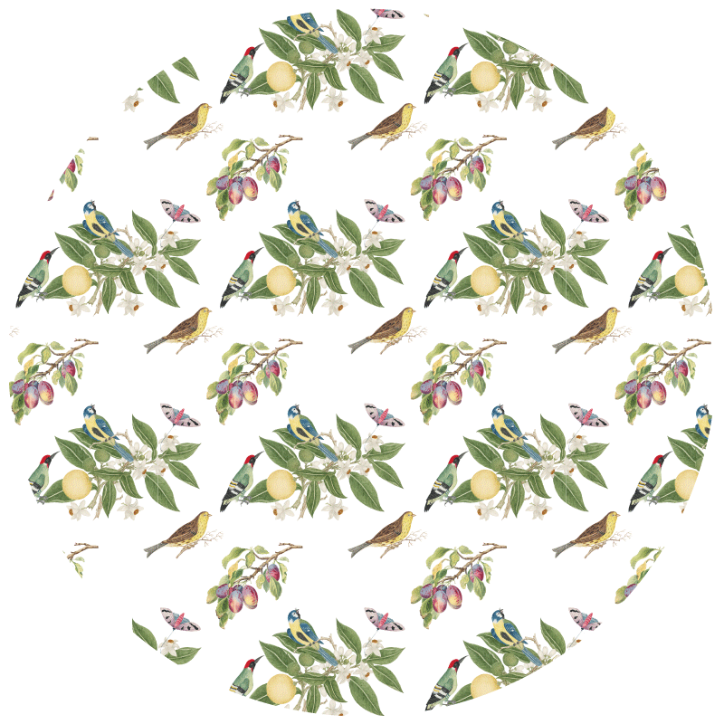 Vinyl Teppich rund bunte vogelmuster - TenStickers
