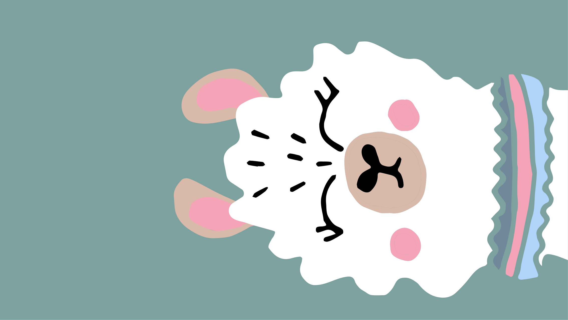 Vinyl Teppich Baby lammillustration - TenStickers