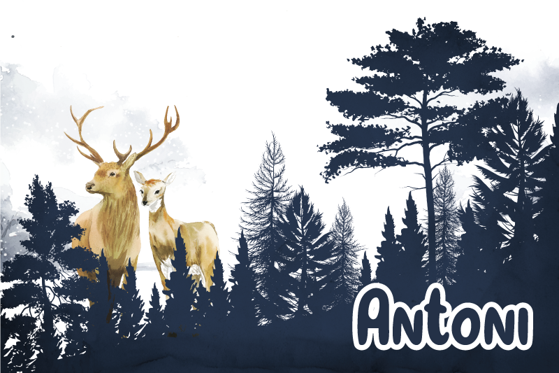 Vinyl Teppich mit Namen waldfauna-silhouette - TenStickers